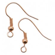 DQ Metal Fishook earwire 20mm Rosegold